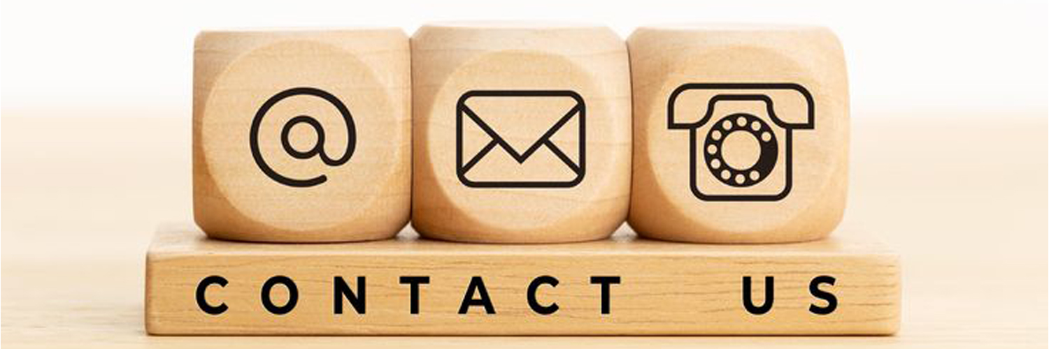 professional logo design services in meerut